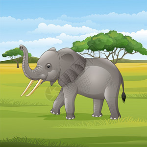 卡通大象站在热带草原上图片