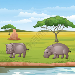 稀树草原的两头卡通河马背景图片