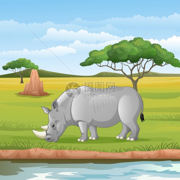 稀树草原上的非洲犀牛图片