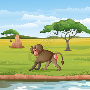 稀树草原上的卡通猴子图片