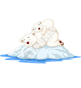 家庭 动物园卡通的母熊和小北极睡在冰面上插画