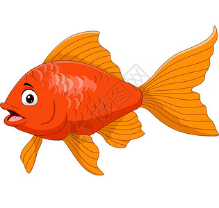 新疆囊白色背景的卡通金鱼插画