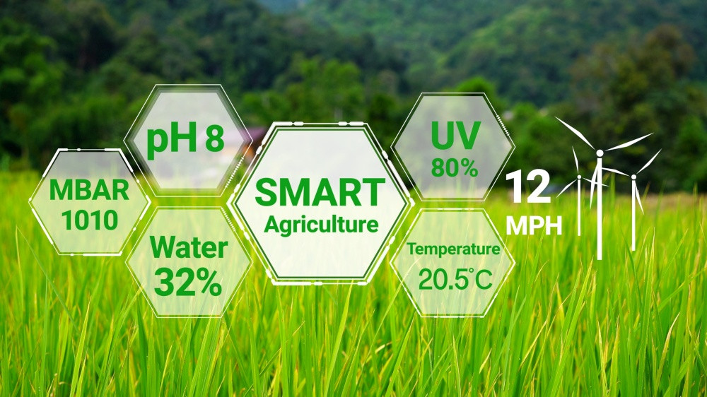 精准农业指的是什么？