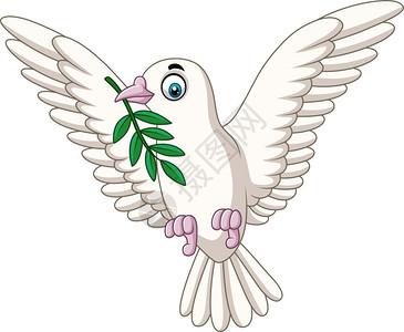 橄榄枝也带橄榄枝的卡通鸽子插画