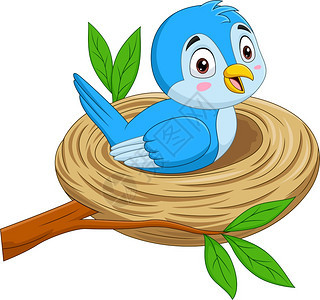 坐在鸟巢中的卡通蓝色小鸟图片