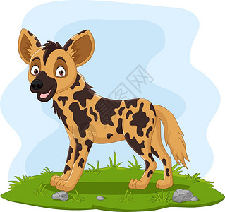 卡通非洲野狗在草地上插画