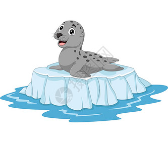 海豹发呆插画