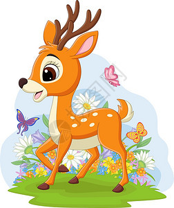 草地上可爱的小鹿图片