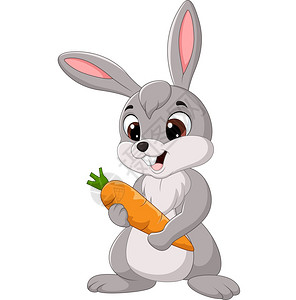 持有胡萝卜的卡通兔子图片