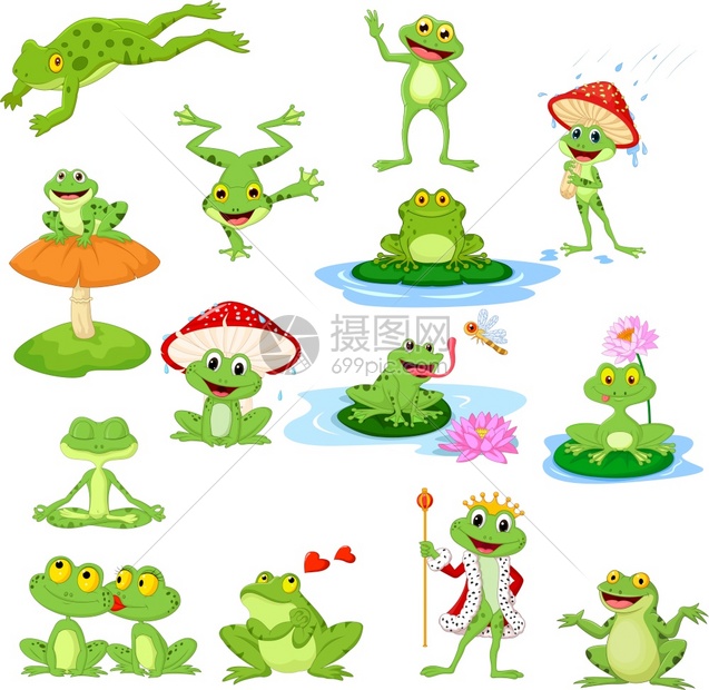 有趣的青蛙集图片