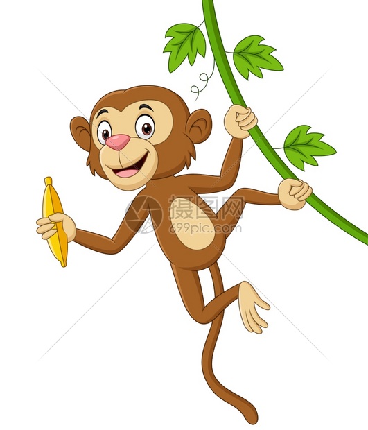 手拿香蕉的猴子图片