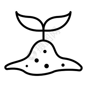 苗姿插画