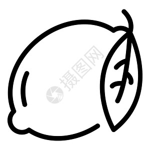 柠檬叶图标的大纲和叶矢量图标用于在白色背景上孤立的网络设计插画