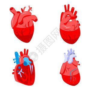 人类心脏图标集用于网络设计的人类心脏矢量图标集等孤立于白色背景的网络设计人类心脏图标集等量样式图片