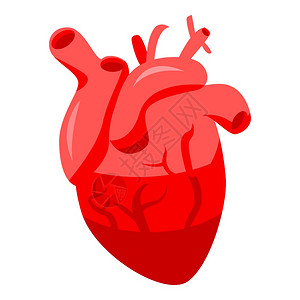 健康人类心脏图标健康人类心脏矢量图标的等值用于孤立白色背景的网络设计健康人类心脏图标等量样式图片