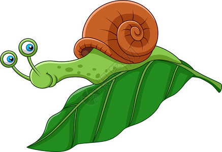 叶子上的卡通笑蜗牛图片