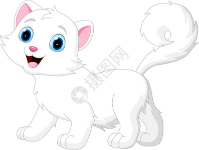 坐着舔爪子的猫白色背景孤立在上的滑稽卡通小白猫设计图片