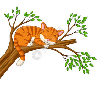 卡通猫睡在树枝上图片
