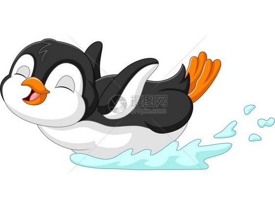 可爱的企鹅在水上滑动图片