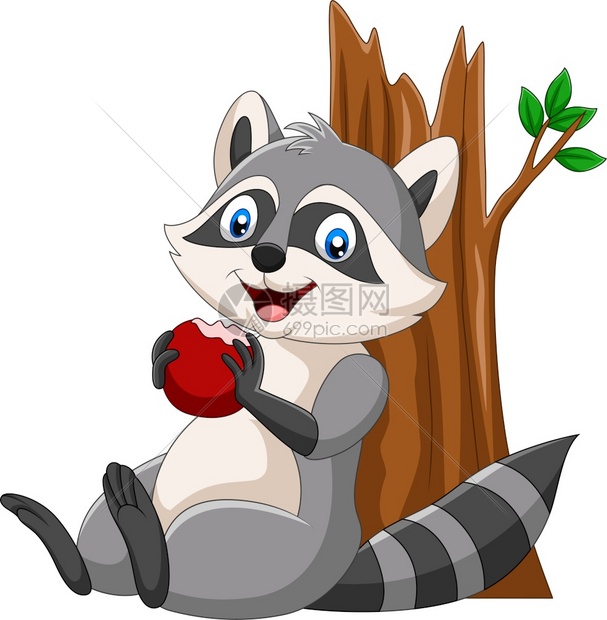 吃红苹果的卡通浣熊图片