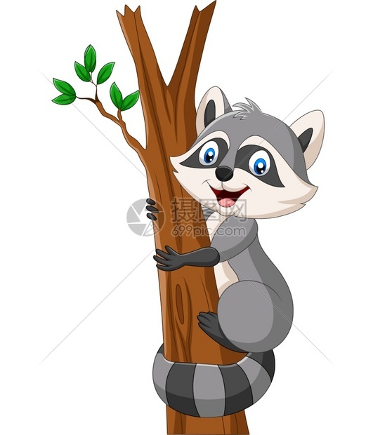 在树上攀爬卡通浣熊图片