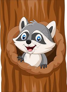 卡通浣熊坐在树的空洞中图片