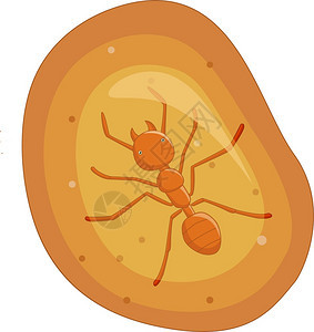 黄琥珀化石中的蚂蚁卡通矢量插图图片