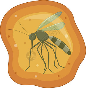 驴肉黄面黄琥珀化石中的蚊子卡通矢量插图插画