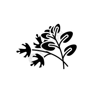 鼠尾草的种子插画_鼠尾草的种子卡通_鼠尾草的种子插图_手绘_板绘_摄