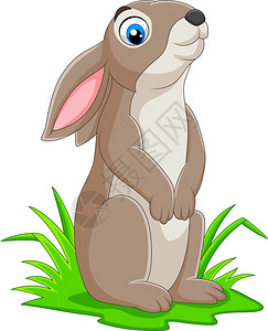 草地上的卡通滑稽兔子图片