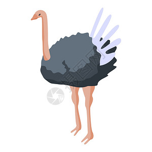 ostrich 卡通图片