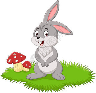 可爱的小兔子美丽绿草图片