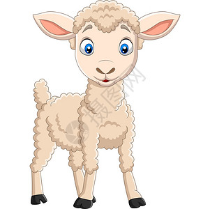 牧羊犬羊卡通喜羊羔孤立在白色背景上设计图片