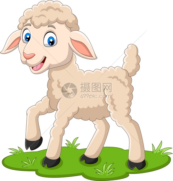 草地上的卡通羊羔图片