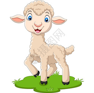 草地上的卡通羊羔高清图片
