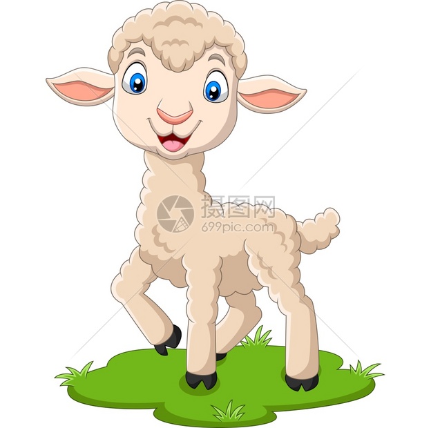 草地上的卡通羊羔图片