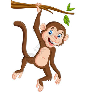 挂在树枝上的卡通猴子背景图片