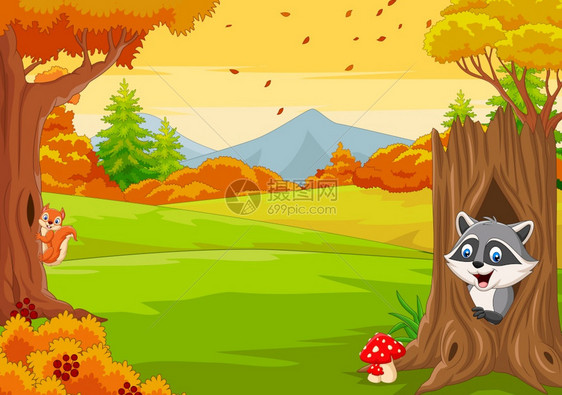 秋天森林中卡通浣熊和松鼠图片