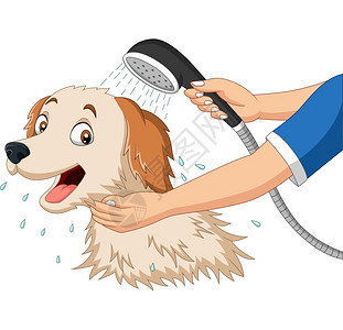 正在洗澡的卡通狗图片