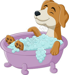 正在洗澡的卡通狗图片