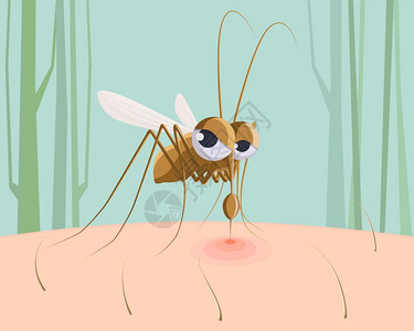 蚊子吸血背景图片