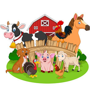 农场动物漫画图片