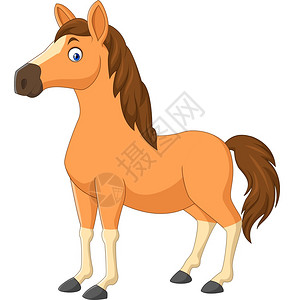 蒙古马匹设计图片