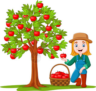 摘苹果的女农民背景图片