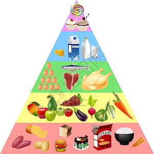 饮食金字塔食品金字塔图插画