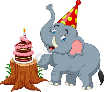 过生日的大象图片