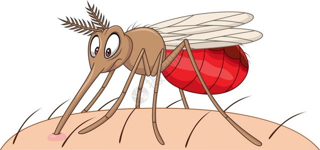吸血的卡通蚊子图片