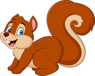 尾穗苋花卡通滑稽的松鼠在白色背景中被孤立设计图片