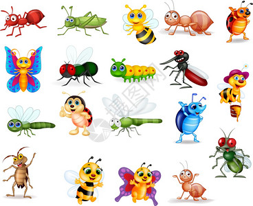 蜜蜂幼虫卡通可爱昆虫插画
