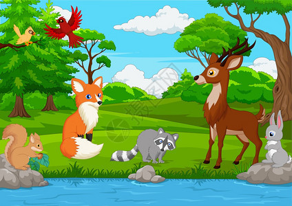丛林中的卡通野生动物图片